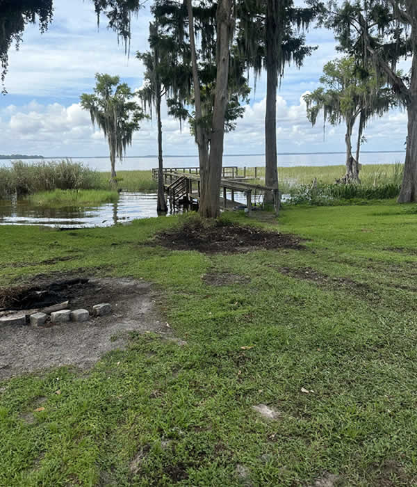 Florida Land Clearing Services in Florida