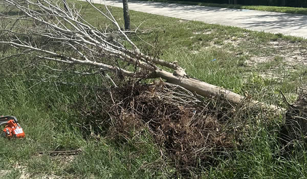 Storm Debris Cleanup Services