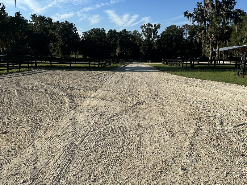 IMG_1647 Alex Wilson