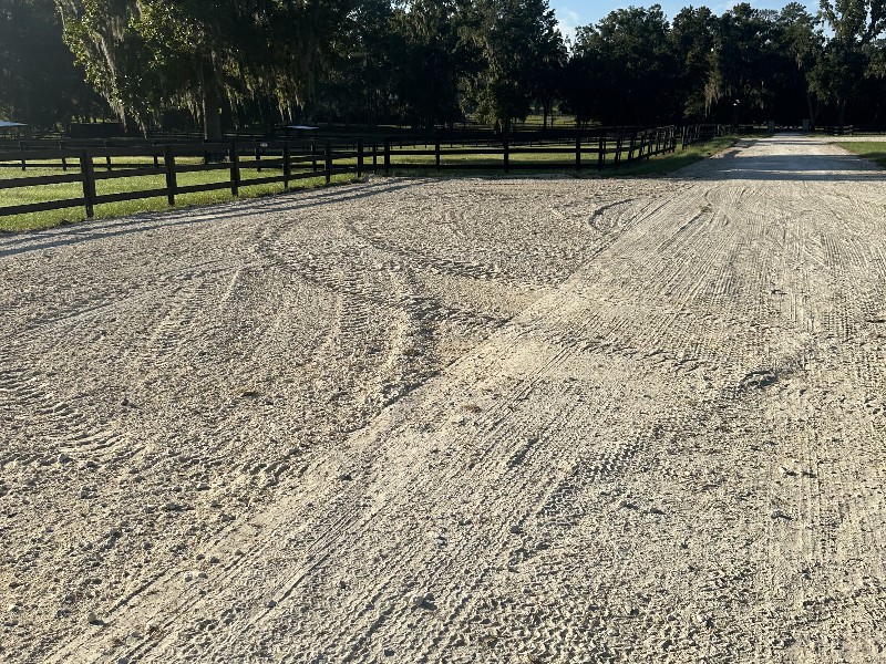 IMG_1648 Alex Wilson